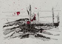 Wochenkarte 37/2025 - o.T.