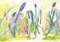 Wochenkarte 11/2025 - deine blüten im garten